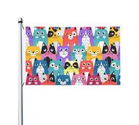 Drapeau De Jardin Chats De Dessin Animé Amusants Drapeaux De welcome Résistant Aux Intempéries Drapeau Pirates Polyester Drapeaux Décoratifs D'Extérieur For Intérieur Salon Dortoir 90x150cm