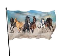 Drapeau de jardin Chevaux 0,9 x 1,5 m Animaux Chevaux Courir galop libre dans le désert contre la tempête Sky Design Drapeaux de jardin en polyester Maison Patio Pelouse Intérieur Extérieur Bannière