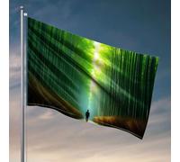 Drapeau de jardin cool Une personne debout sur un chemin en bois dans une forêt de bambou dense, drapeau homme, grotte, bar, décoration de chambre de garçon (30 x 45 cm)
