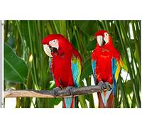 Drapeau De Jardin Couple Of Macaws Parrot Birds In Nature Spring Summer Tropical Wildlife Animal Drapeau De Bienvenue Premium Garden Flag Couleur Vive Pride Flag Pour Patio Cour 152X90CM