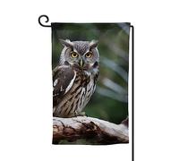 Drapeau de jardin de 30,5 x 45,7 cm, bannière extérieure double face, drapeau de bienvenue saisonnier, drapeau de cour, décoration extérieure, ferme, hibou sauvage, oiseaux pour terrasse, pelouse et