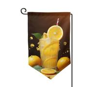 Drapeau de jardin de 30,5 x 45,7 cm, bannière extérieure double face, drapeau de bienvenue saisonnier, drapeau de cour de bienvenue pour extérieur, ferme, limonade orange pour terrasse, pelouse et