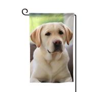 Drapeau de jardin de 30,5 x 45,7 cm, bannière extérieure double face, drapeau de bienvenue saisonnier, drapeau de cour de bienvenue pour extérieur, ferme, joli labrador pour terrasse, pelouse et