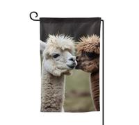 Drapeau de jardin de 30,5 x 45,7 cm, bannière extérieure double face, drapeau de bienvenue saisonnier, drapeau de cour de bienvenue pour extérieur, ferme, drapeaux amusants en alpaga pour terrasse