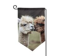 Drapeau de jardin de 30,5 x 45,7 cm, bannière extérieure double face, drapeau de bienvenue saisonnier, drapeau de cour de bienvenue pour extérieur, ferme, drapeaux amusants en alpaga pour terrasse