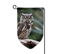 Drapeau de jardin de 30,5 x 45,7 cm, bannière extérieure double face, drapeau de bienvenue saisonnier, drapeau de cour, décoration extérieure, ferme, hibou sauvage, oiseaux pour terrasse, pelouse et