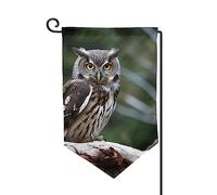 Drapeau de jardin de 30,5 x 45,7 cm, bannière extérieure double face, drapeau de bienvenue saisonnier, drapeau de cour, décoration extérieure, ferme, hibou sauvage, oiseaux pour terrasse, pelouse et