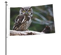 Drapeau de jardin de bienvenue 6 x 0,9 m double face avec hibou sauvage pour extérieur, décoration intérieure, extérieur, vacances, drapeaux pour toutes les saisons
