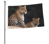 Drapeau de jardin de bienvenue 6 x 0,9 m double face léopard africain sur rocher pour l'extérieur de la maison, drapeau décoratif pour intérieur et extérieur pour toutes les saisons