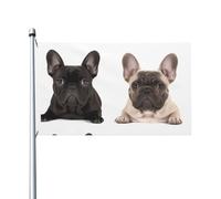 Drapeau de jardin de bienvenue avec bouledogue français - 9,5 x 1,5 m - Double face - Ne se décolore pas - Bannière d'extérieur en laiton - Décoration pour cour, porche, pelouse