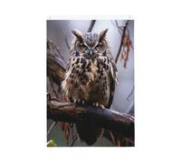 Drapeau de jardin de bienvenue avec chouette sur une branche - 61 x 91 cm - Double face - Ne se décolore pas - Toile de fond pour photo - Bannière pour cour, porche, pelouse, décoration extérieure