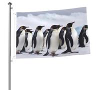 Drapeau de jardin de bienvenue de 61 x 91 cm - Double face - Pingouins de l'Antarctique - Drapeaux décoratifs pour extérieur - Pour intérieur et extérieur - Pour toutes les saisons