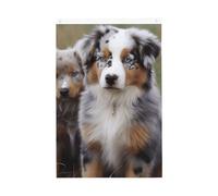 Drapeau de jardin de bienvenue de berger australien - 61 x 91 cm - Ne se décolore pas - Double face - Bannière d'extérieur pour cour, porche, pelouse