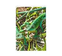 Drapeau de jardin de bienvenue Gecko Lézards 61 x 91 cm Ne se décolore pas Double face Maison Yard Bannière Décoration pour cour, porche, pelouse