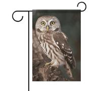 Drapeau de jardin de bienvenue, motif animal sauvage, hibou, printemps, été, floral, 30,5 x 45,7 cm, double face, décoration extérieure pour ferme printemps-hiver, résistant à la décoloration, insta