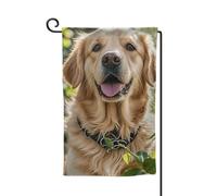 Drapeau de jardin de bienvenue pour extérieur de petite cour, 31,8 x 45,7 cm, double face, résistant aux intempéries, drapeau vertical Golden Retriever pour ferme, extérieur, pelouse, terrasse