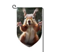 Drapeau de jardin de bienvenue pour l'extérieur de petite cour, 31,8 x 45,7 cm, double face, résistant aux intempéries, drapeau vertical écureuil amusant pour ferme, extérieur, pelouse, terrasse