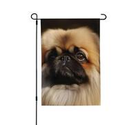 Drapeau de jardin de bienvenue pour l'extérieur de petite cour, 71,1 x 101,6 cm, double face, résistant aux intempéries, drapeau vertical pékinois mignon pour ferme, extérieur, pelouse, terrasse