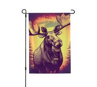 Drapeau de jardin de bienvenue pour l'extérieur de petite cour, 71,1 x 101,6 cm, double face, résistant aux intempéries, drapeau vertical pour ferme, extérieur, pelouse, terrasse