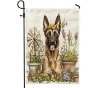 Drapeau de jardin de printemps malinois belge 30,5 x 45,7 cm double face pour décoration extérieure, motif chiot de campagne pour maison, animal de compagnie, petit drapeau de pelouse