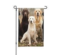 Drapeau de jardin d'été double face 12 x 18 pouces, motif chiens Labrador Retrievers, noir, doré, blanc, marron
