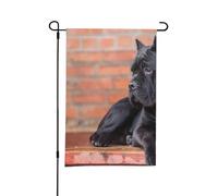 Drapeau de jardin d'été double face Cane Corso, gros chien noir, animaux de compagnie, 12 x 18 pouces, pour l'extérieur