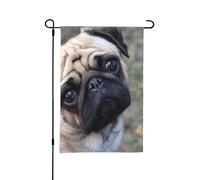 Drapeau de jardin d'été double face « Carlin drôle qui vous regarde », 12 x 18 pouces