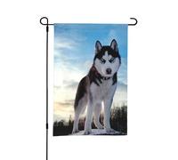 Drapeau de jardin d'été double face Husky de Sibérie 1,12 x 18 pouces pour l'extérieur