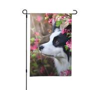 Drapeau de jardin d'été double face, motif Border Collie, mignon chien, 30,5 x 45,7 cm, pour l'extérieur