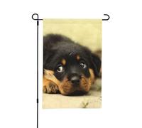 Drapeau de jardin d'été double face, motif chiens Rottweiler, chiots mignons, petits animaux de compagnie, 30,5 x 45,7 cm, pour l'extérieur