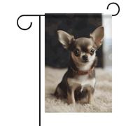 Drapeau de jardin d'été mignon Chihuahua double face 30,5 x 45,7 cm Drapeaux de jardin Printemps Soleil Drapeaux de jardin Drapeaux de bienvenue saisonniers Drapeau d'extérieur Décoration