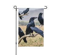 Drapeau de jardin double face 30 x 45 cm - Petits drapeaux de cour pour décorations extérieures - Corbeau saisonnier - Drapeaux de jardin décoratifs d'extérieur - Drapeau de bienvenue pour cour