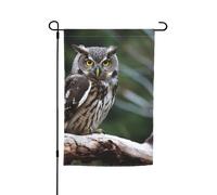 Drapeau de jardin double face avec hibou sauvage et oiseaux - 30,5 x 45,7 cm - Bannière extérieure saisonnière pour printemps, été, pelouse, porche, décoration d'intérieur, petit drapeau de jardin