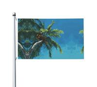Drapeau de jardin double face Coconuts and the Sky - 90 x 150 cm - Convient pour une utilisation toute l'année, pour décorer les porches, balcons et terrasses - Mât non inclus.