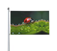 Drapeau de jardin double face en forme de coccinelle à sept étoiles, 90 x 150 cm, convient pour une utilisation toute l'année, pour décorer les porches, balcons et terrasses. Mât non inclus.