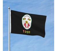 Drapeau de jardin double face en polyester, emblème national du Togo, bannière de 90 x 150 cm, décoration d'extérieur, pour la maison, le jardin, les festivals