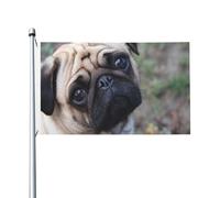 Drapeau de jardin double face en polyester, motif carlin rigolo « Regarde-toi », 152 x 91 cm, avec œillets