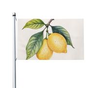 Drapeau de jardin double face en polyester, motif « Two Lemons », 152 cm x 91 cm, avec œillets