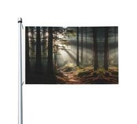 Drapeau de jardin double face Light in the Forest - 91,4 x 152,4 cm - Convient pour les porches, balcons, pelouses, suspension intérieure et extérieure, résistant à la décoloration, mât non inclus.