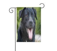 Drapeau de jardin double face pour décoration de terrasse, bannière de cour de 45 x 30 cm, drapeau de jardin Rottweiler pour extérieur, drapeau extérieur durable résistant à la décoloration pour
