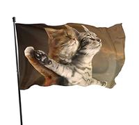 Drapeau de jardin drôle mignon chat Titanic action mer ciel drapeau polyester avec 2 œillets en laiton bannière couleurs vives et résistant à la décoloration drapeau de jardin extérieur décoration d'i
