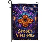 Drapeau de jardin effrayant citrouilles célestes Halloween 30,5 x 45,7 cm | Toile de fond cosmique galaxie, drapeau de pelouse, cristaux brillants, symboles runiques mystiques, esthétique effrayante