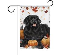 Drapeau de jardin en automne - Double face - Motif chien de Terre-Neuve - Citrouilles - Drapeau de cour - Pour maison, fête, porche Ya