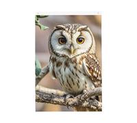 Drapeau de jardin en grain de café - 61 x 91 cm - Ne se décolore pas - Double face - Bannière d'extérieur pour cour, porche, pelouse