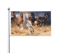 Drapeau de jardin en polyester double face représentant un cheval sauvage courant dans une tempête de sable, 152 x 91 cm, avec œillets.