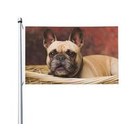 Drapeau de jardin en polyester double face représentant un chiot bouledogue français marron (152 x 91 cm) avec œillets
