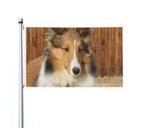 Drapeau de jardin en polyester double face représentant un magnifique chien de race Sheltie, 152 cm x 91 cm, avec œillets.