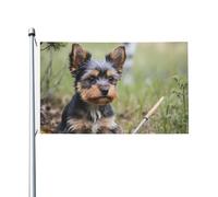 Drapeau de jardin en polyester double face représentant un petit chien assis, 152 cm x 91 cm, avec œillets