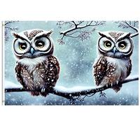 Drapeau De Jardin Fairy Beautiful Owl Branch Winter Snowy Forest Garden Flag Couleur Vive Drapeau De Bienvenue Premium Pride Flag Pour Cour Pavillon Patio 152X90CM