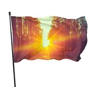 Drapeau de jardin Forêt Sunshine Yard House Décoration extérieure Drapeaux Bannières pour Patio Pelouse 0,9 x 1,5 m